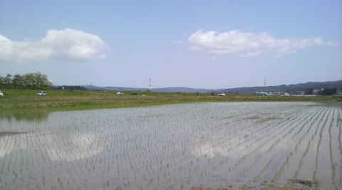 ���¤���2009